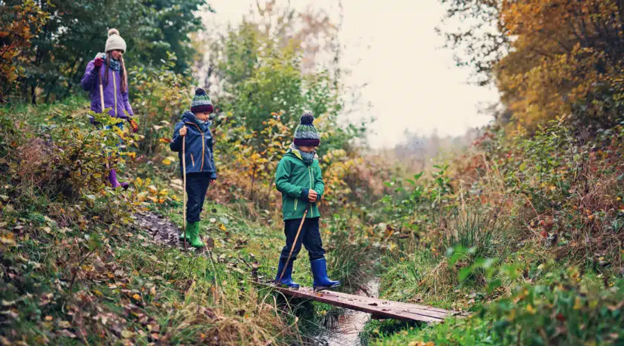 enfants-nature-foret-automne-hiver eleves marchant dans la foret en automne hiver