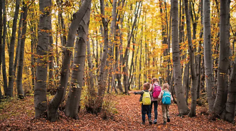 enfants-nature-foret-automne enfants dans la nature en automne