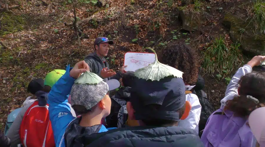 eleves-balade-foret-voyage-scolaire élèves de primaire en balade en foret avec intervenant