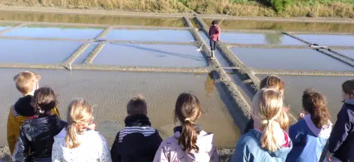 eleves en séjour observent marais salants automne
