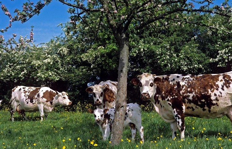 Au cœur de la biodiversité