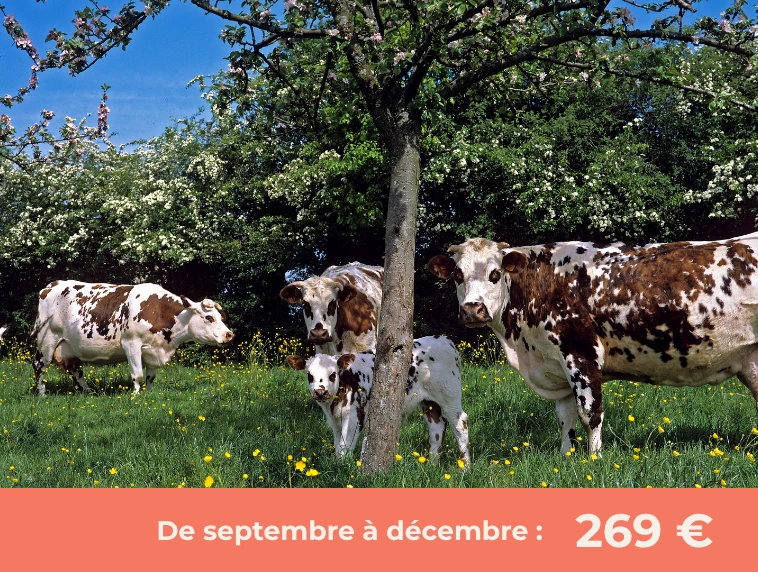 Au cœur de la biodiversité