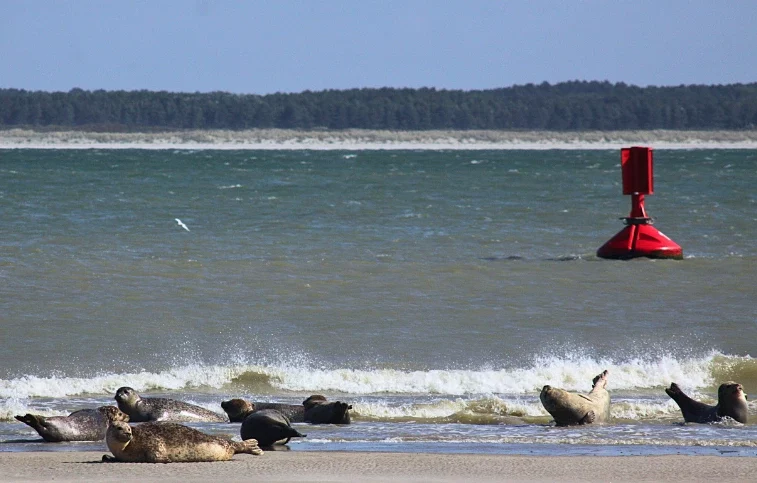 Cap sur la Baie de Somme
