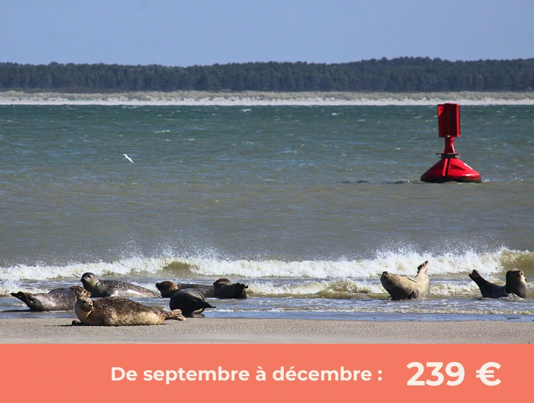 Cap sur la Baie de Somme