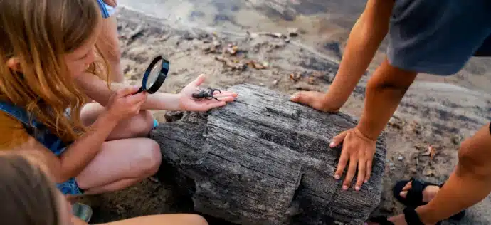 élèves qui observent un insecte dans la nature