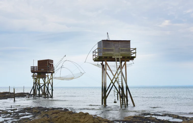 Sciences en Loire Atlantique