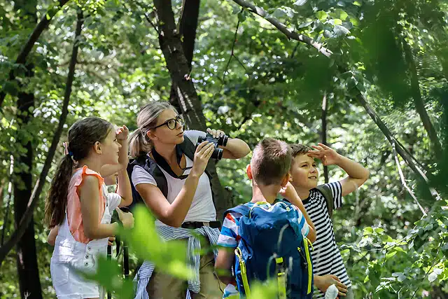 Une enseignante observe la nature avec ses élèves lors d'une sortie en forêt