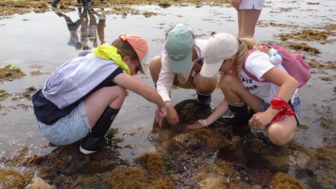 élèves en activité pêche à pied