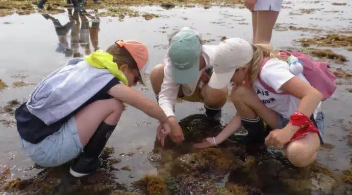 élèves en pêche à pied à la mer