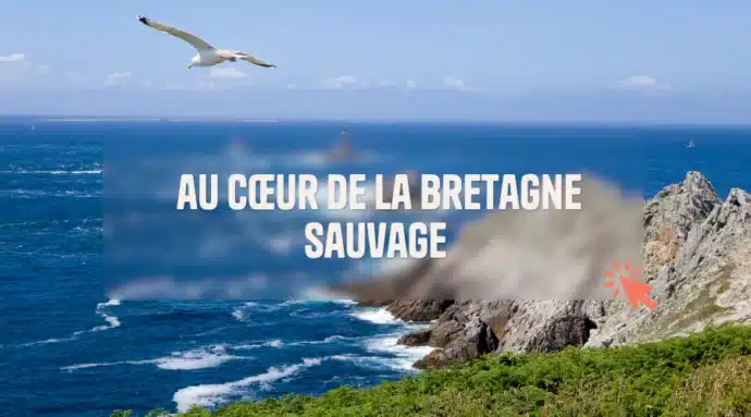Classe de découvertes singulière au cœur de la Bretagne sauvage