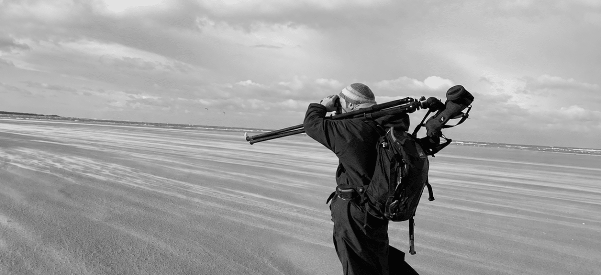 guide nature en baie de somme