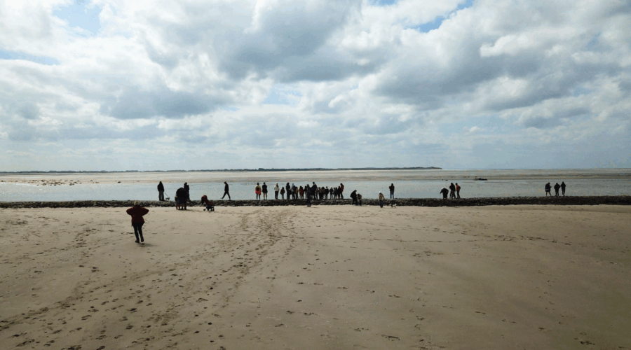 plaghe-baie-de-somme plage baie de somme